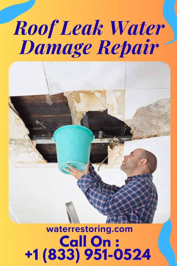Roof Leak Water Damage Repair in Smithville, OH