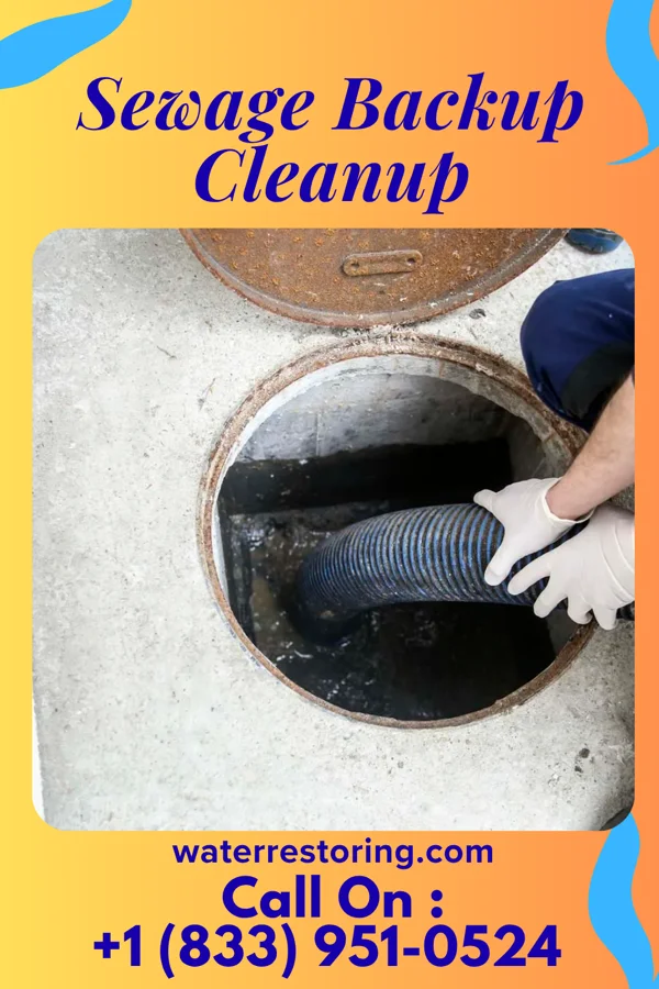 Sewage Backup Cleanup in Smithville, OH